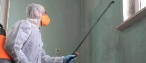 Does Homeowners Insurance Cover Mold?