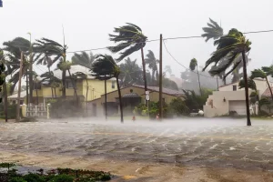 How Much Is Flood Insurance in Florida?