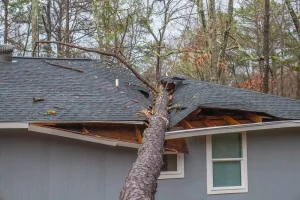 Is Wind Damage Covered By Homeowners Insurance?