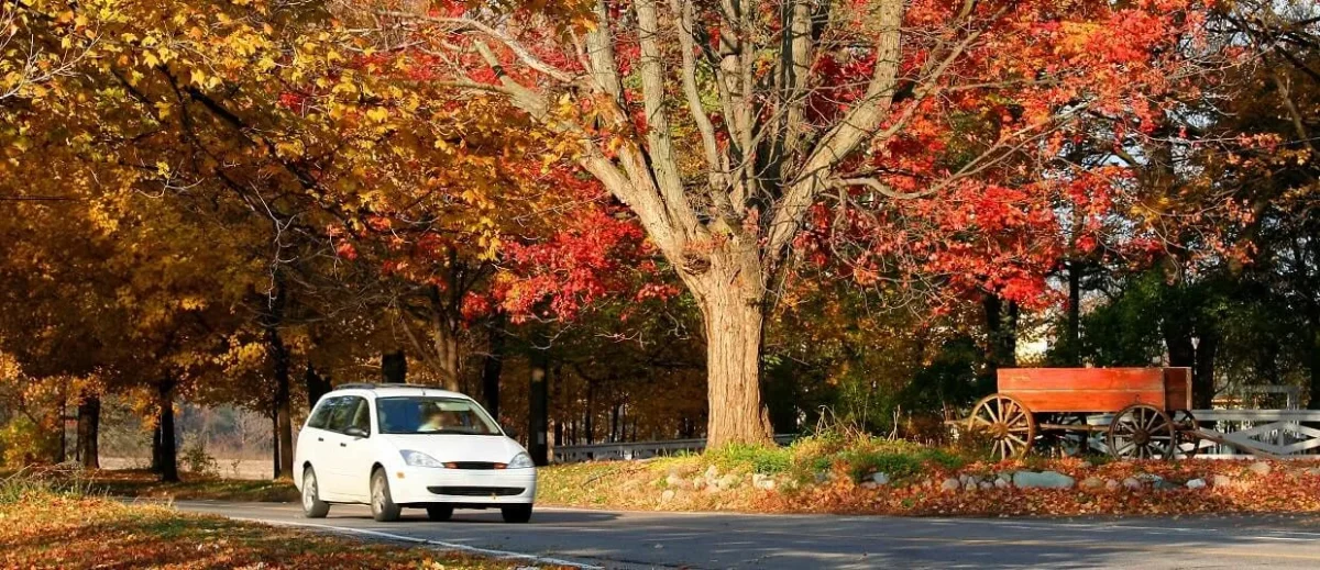 SR-22 Insurance in Michigan Explained