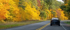 The Best Car Insurance Companies in Michigan