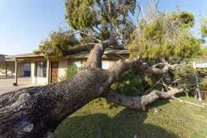 What Is an Insurance Claim?