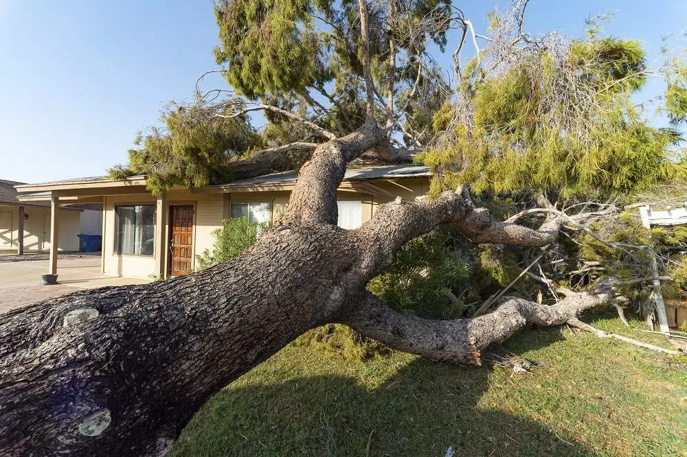 What Is an Insurance Claim?